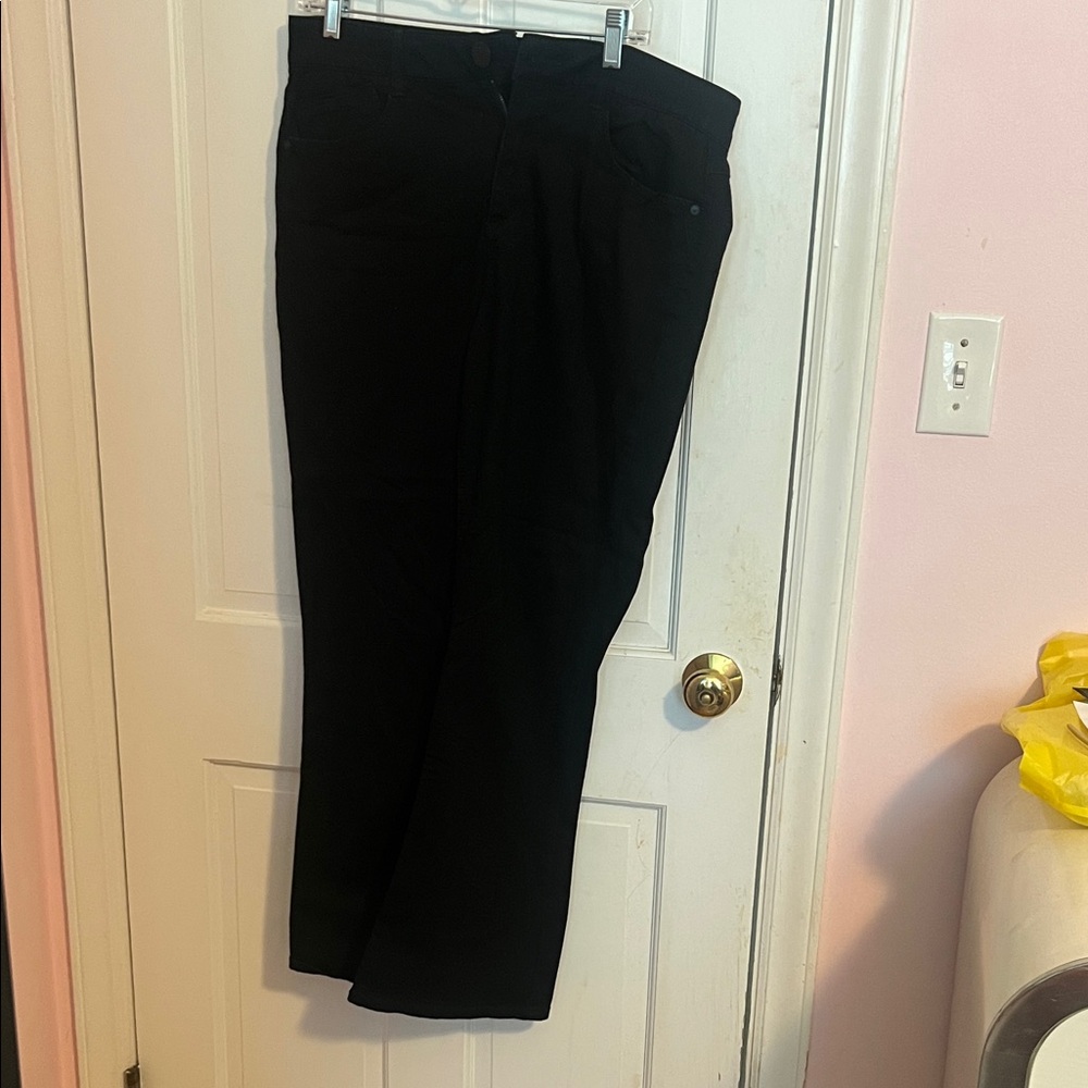 Democracy absolution women’s black pant